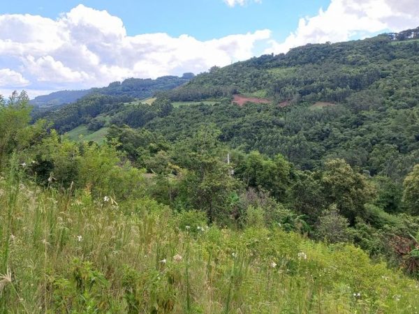 B-546     ÁREA DE TERRAS COM LINDÍSSIMA VISTA PANORÂMICA!!!
