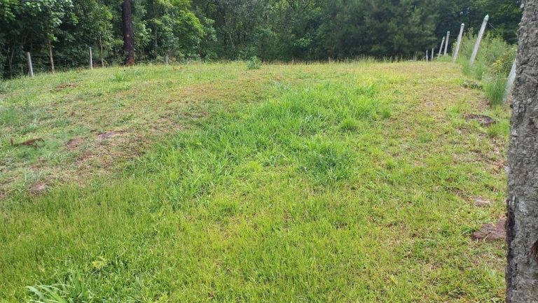 B-55     EXCELENTE TERRENO COM FRENTE PARA AV. GERMÂNIA!!!