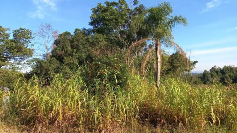B-58     ENORME TERRENO MEDINDO 1.273,92 M² !!!