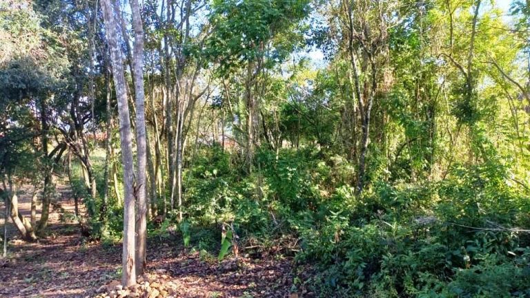B-58     ENORME TERRENO MEDINDO 1.273,92 M² !!!
