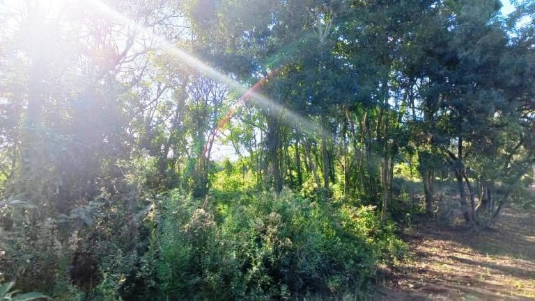 B-58     ENORME TERRENO MEDINDO 1.273,92 M² !!!