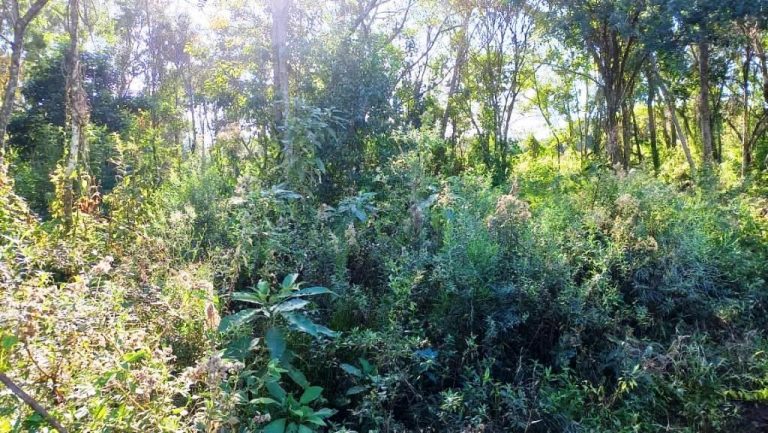 B-58     ENORME TERRENO MEDINDO 1.273,92 M² !!!