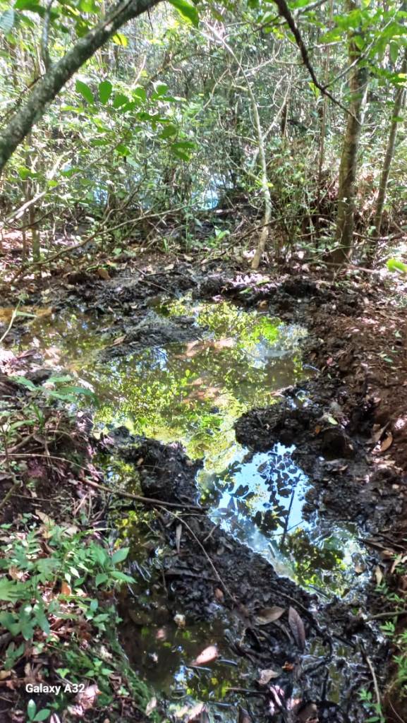 B-540     ÁREA DE TERRA DISTANTE APENAS A 400 METROS DO ASFALTO!!!