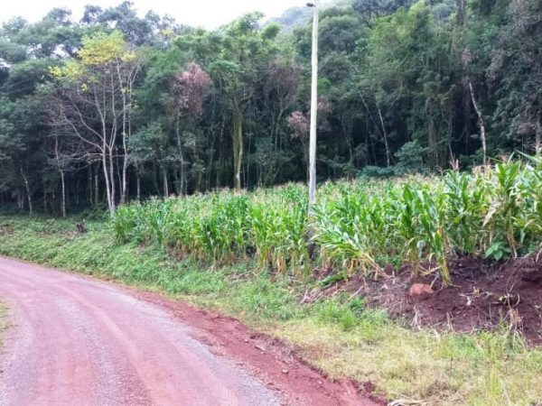 B-520     LINDÍSSIMA ÁREA DE TERRAS PLANA E COM AMPLA FRENTE PRA RUA!!!