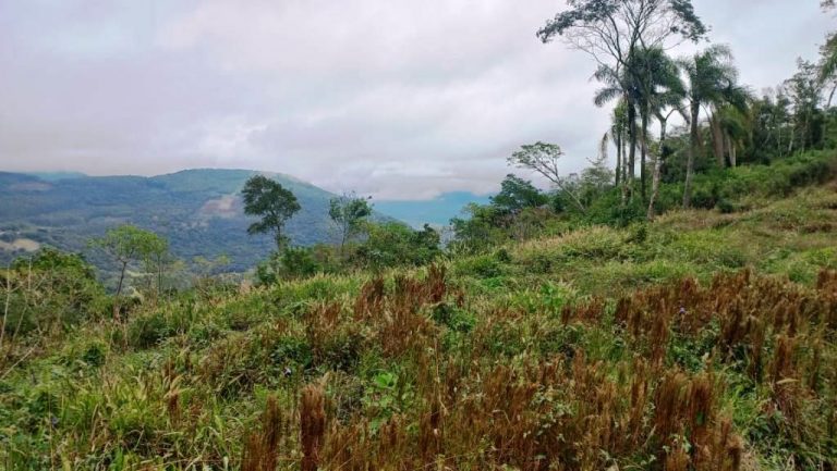 B-502     LINDÍSSIMA ÁREA DE TERRAS COM FANTÁSTICA VISTA PANORÂMICA!!!