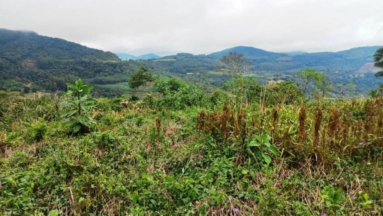 B-502     LINDÍSSIMA ÁREA DE TERRAS COM FANTÁSTICA VISTA PANORÂMICA!!!