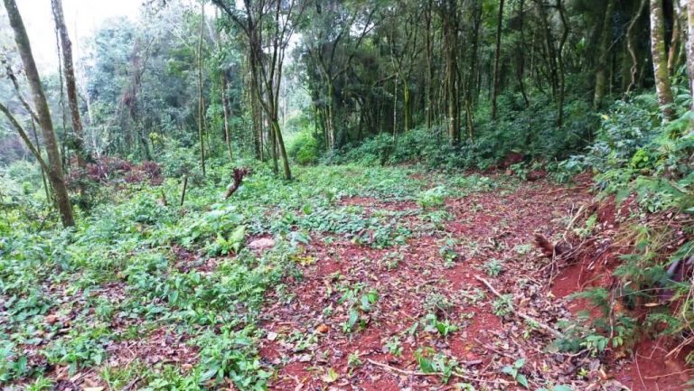 B-548    ÁREA DE TERRAS PARA CONSTRUIR UM LINDO SÍTIO JUNTO À NATUREZA!!!