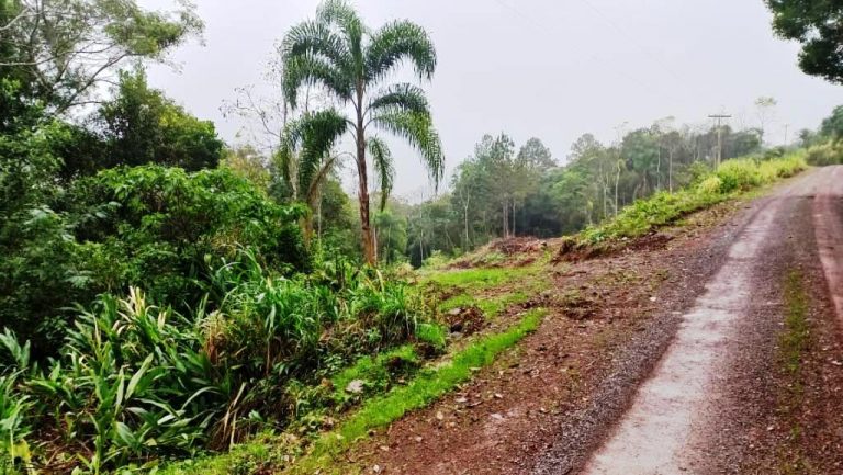 B-537     ÁREA DE TERRAS PARA UM BELO SÍTIO!!!!