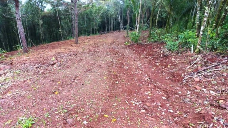 B-578     LINDA ÁREA DE TERRAS, IDEAL PARA UM BELO SÍTIO!!!