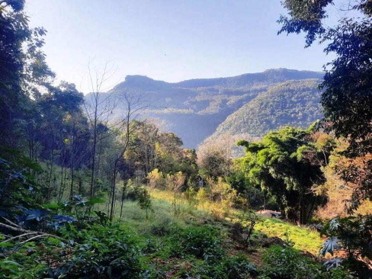 B-584     ÁREA DE TERRAS COM LINDA VISTA PANORÂMICA!!!