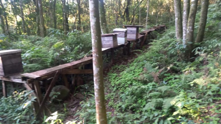 B-740     ÁREA DE TERRAS COM 13,5 HECTARES EM SANTA MARIA DO HERVAL