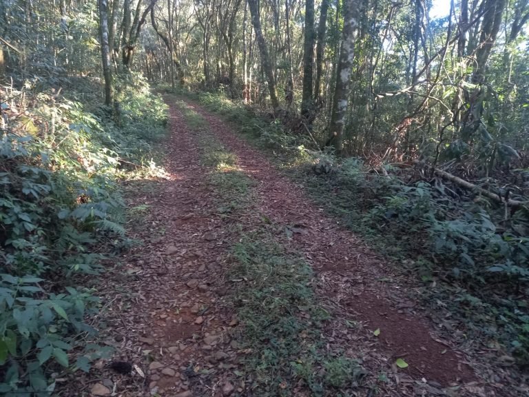 B-740     ÁREA DE TERRAS COM 13,5 HECTARES EM SANTA MARIA DO HERVAL