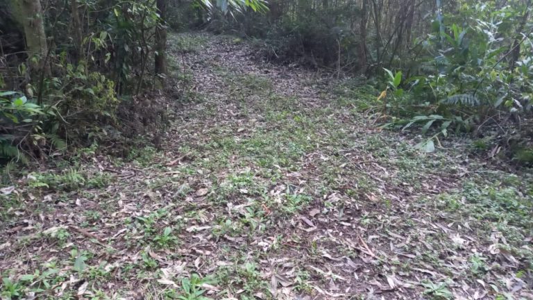 B-740     ÁREA DE TERRAS COM 13,5 HECTARES EM SANTA MARIA DO HERVAL