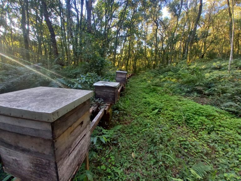 B-740     ÁREA DE TERRAS COM 13,5 HECTARES EM SANTA MARIA DO HERVAL