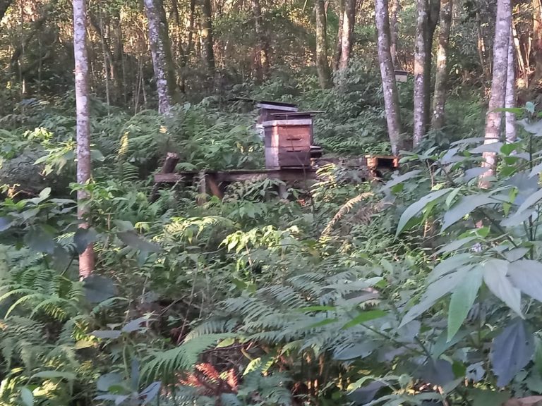 B-740     ÁREA DE TERRAS COM 13,5 HECTARES EM SANTA MARIA DO HERVAL