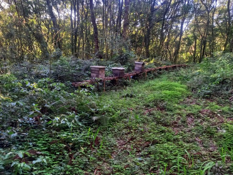 B-740     ÁREA DE TERRAS COM 13,5 HECTARES EM SANTA MARIA DO HERVAL