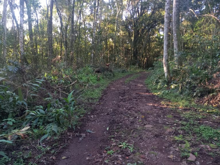 B-740     ÁREA DE TERRAS COM 13,5 HECTARES EM SANTA MARIA DO HERVAL