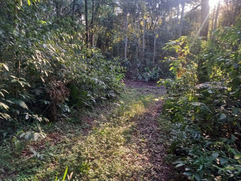 B-740     ÁREA DE TERRAS COM 13,5 HECTARES EM SANTA MARIA DO HERVAL