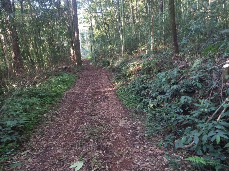B-740     ÁREA DE TERRAS COM 13,5 HECTARES EM SANTA MARIA DO HERVAL