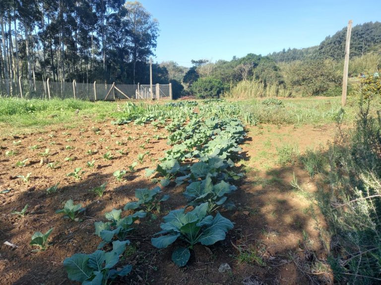 B-711     SÍTIO EM SAPIRANGA COM 24,7 HECTARES