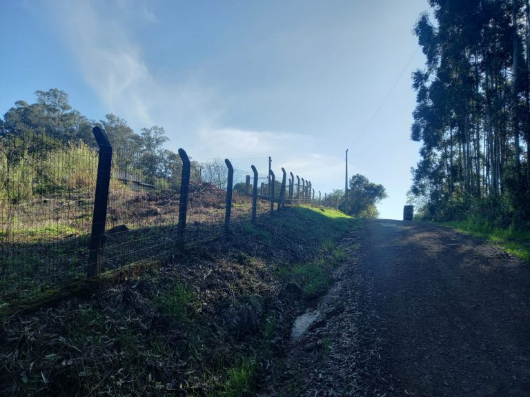 B-711     SÍTIO EM SAPIRANGA COM 24,7 HECTARES