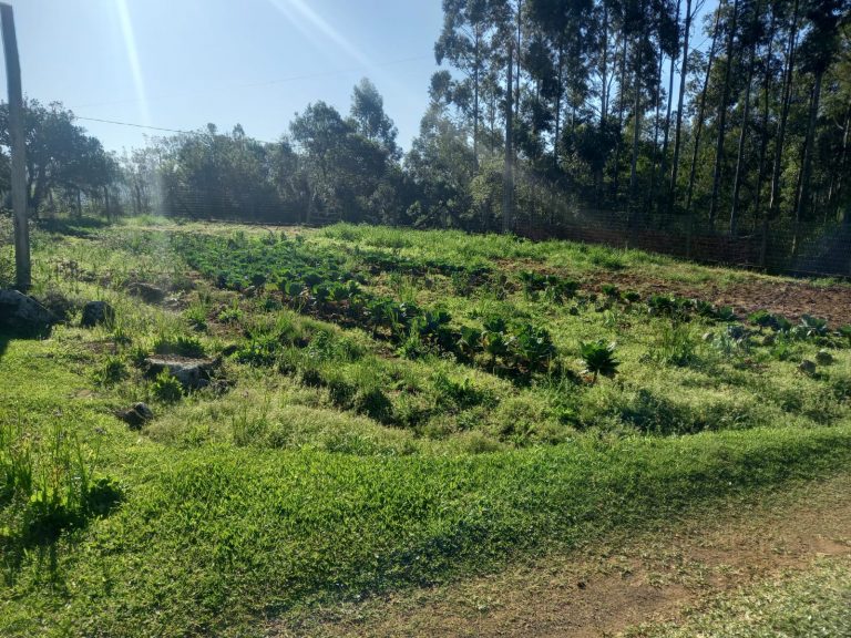 B-711     SÍTIO EM SAPIRANGA COM 24,7 HECTARES