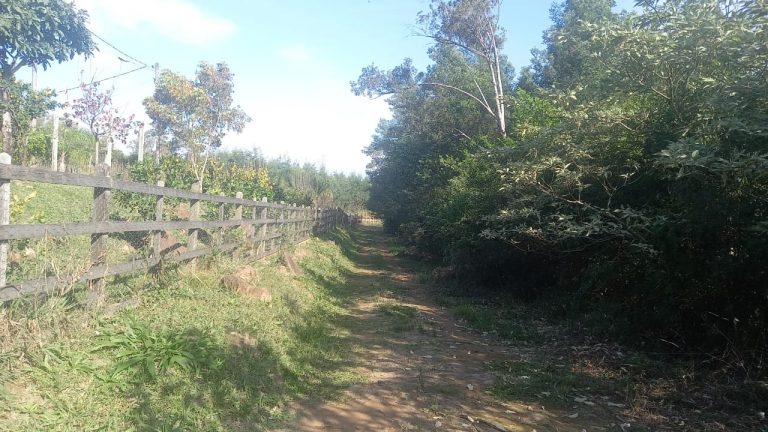 B-741     ÁREA DE TERRAS COM 14,4 HECTARES EM SANTA MARIA DO HERVAL