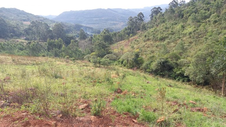 B-741     ÁREA DE TERRAS COM 14,4 HECTARES EM SANTA MARIA DO HERVAL