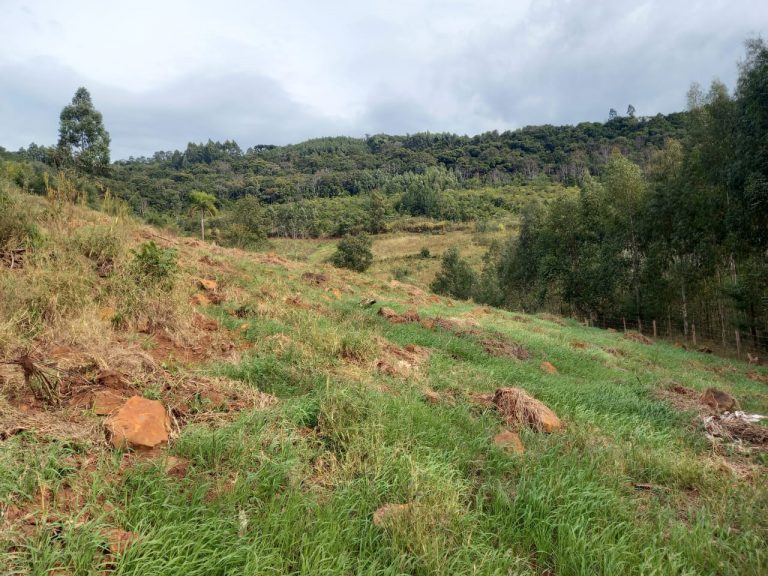 B-741     ÁREA DE TERRAS COM 14,4 HECTARES EM SANTA MARIA DO HERVAL