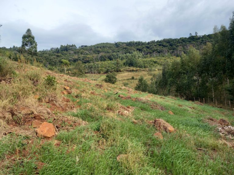 B-741     ÁREA DE TERRAS COM 14,4 HECTARES EM SANTA MARIA DO HERVAL