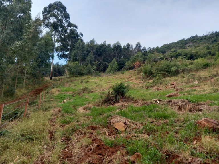 B-741     ÁREA DE TERRAS COM 14,4 HECTARES EM SANTA MARIA DO HERVAL
