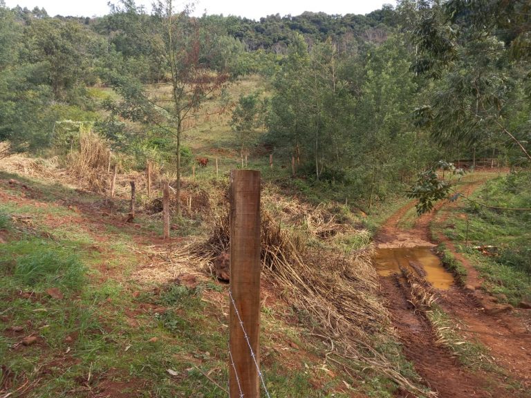 B-741     ÁREA DE TERRAS COM 14,4 HECTARES EM SANTA MARIA DO HERVAL