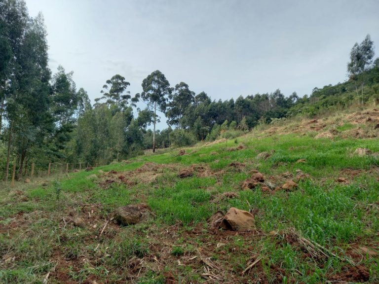 B-741     ÁREA DE TERRAS COM 14,4 HECTARES EM SANTA MARIA DO HERVAL