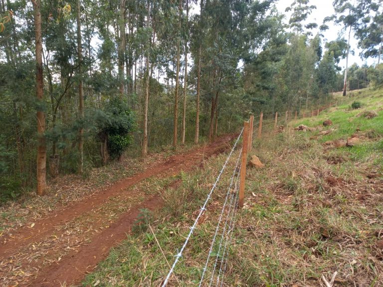 B-741     ÁREA DE TERRAS COM 14,4 HECTARES EM SANTA MARIA DO HERVAL