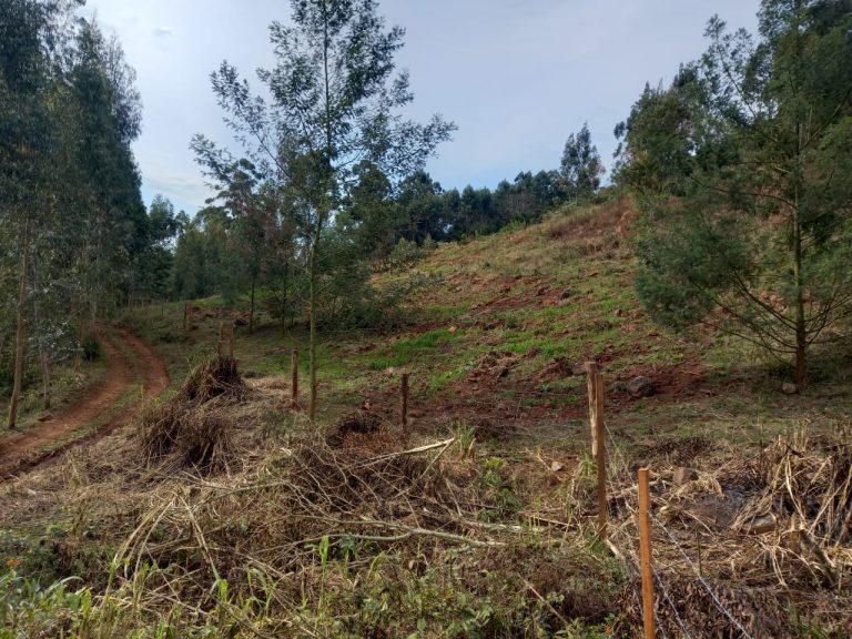 B-741     ÁREA DE TERRAS COM 14,4 HECTARES EM SANTA MARIA DO HERVAL