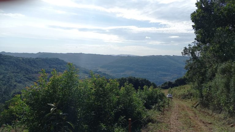 B-741     ÁREA DE TERRAS COM 14,4 HECTARES EM SANTA MARIA DO HERVAL