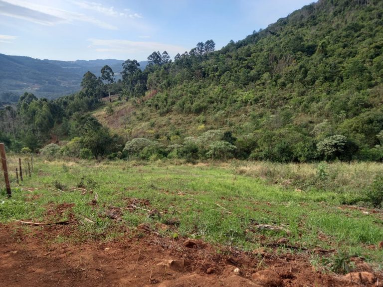 B-741     ÁREA DE TERRAS COM 14,4 HECTARES EM SANTA MARIA DO HERVAL