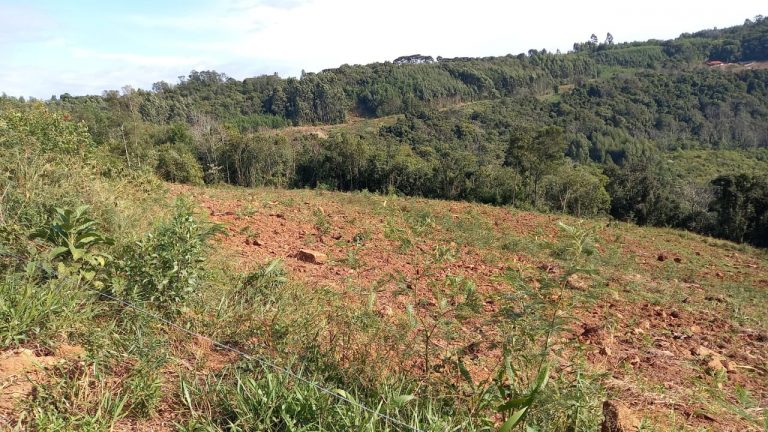 B-741     ÁREA DE TERRAS COM 14,4 HECTARES EM SANTA MARIA DO HERVAL