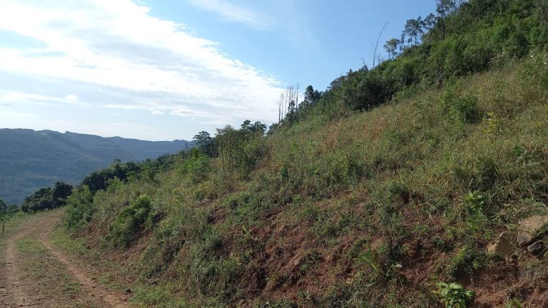 B-741     ÁREA DE TERRAS COM 14,4 HECTARES EM SANTA MARIA DO HERVAL