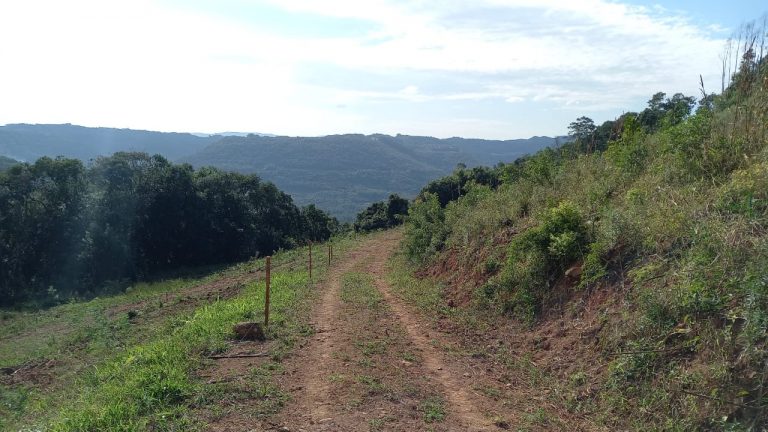 B-741     ÁREA DE TERRAS COM 14,4 HECTARES EM SANTA MARIA DO HERVAL