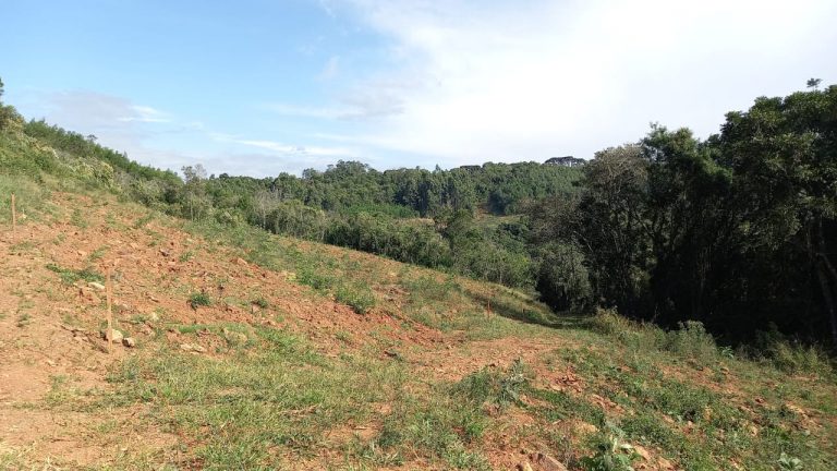 B-741     ÁREA DE TERRAS COM 14,4 HECTARES EM SANTA MARIA DO HERVAL
