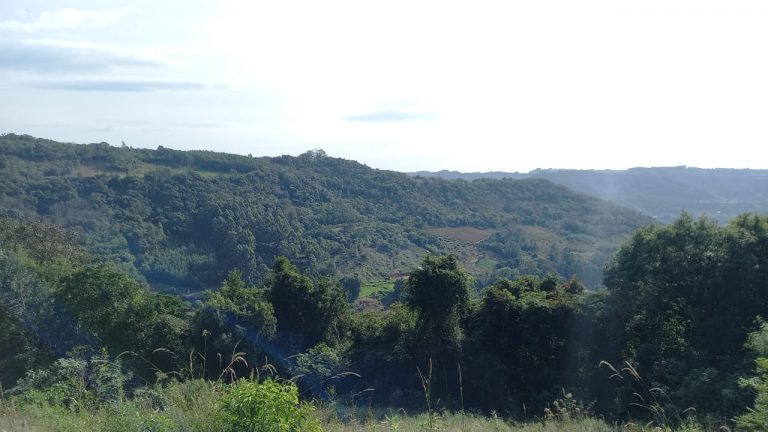 B-741     ÁREA DE TERRAS COM 14,4 HECTARES EM SANTA MARIA DO HERVAL
