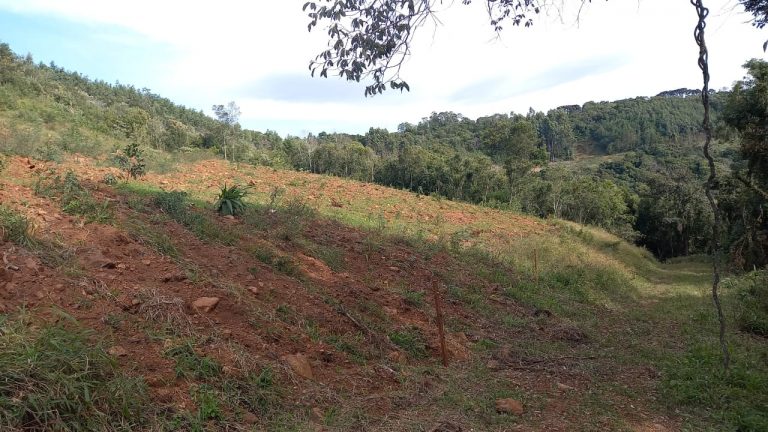 B-741     ÁREA DE TERRAS COM 14,4 HECTARES EM SANTA MARIA DO HERVAL