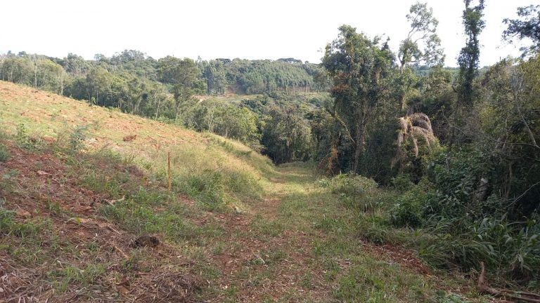 B-741     ÁREA DE TERRAS COM 14,4 HECTARES EM SANTA MARIA DO HERVAL