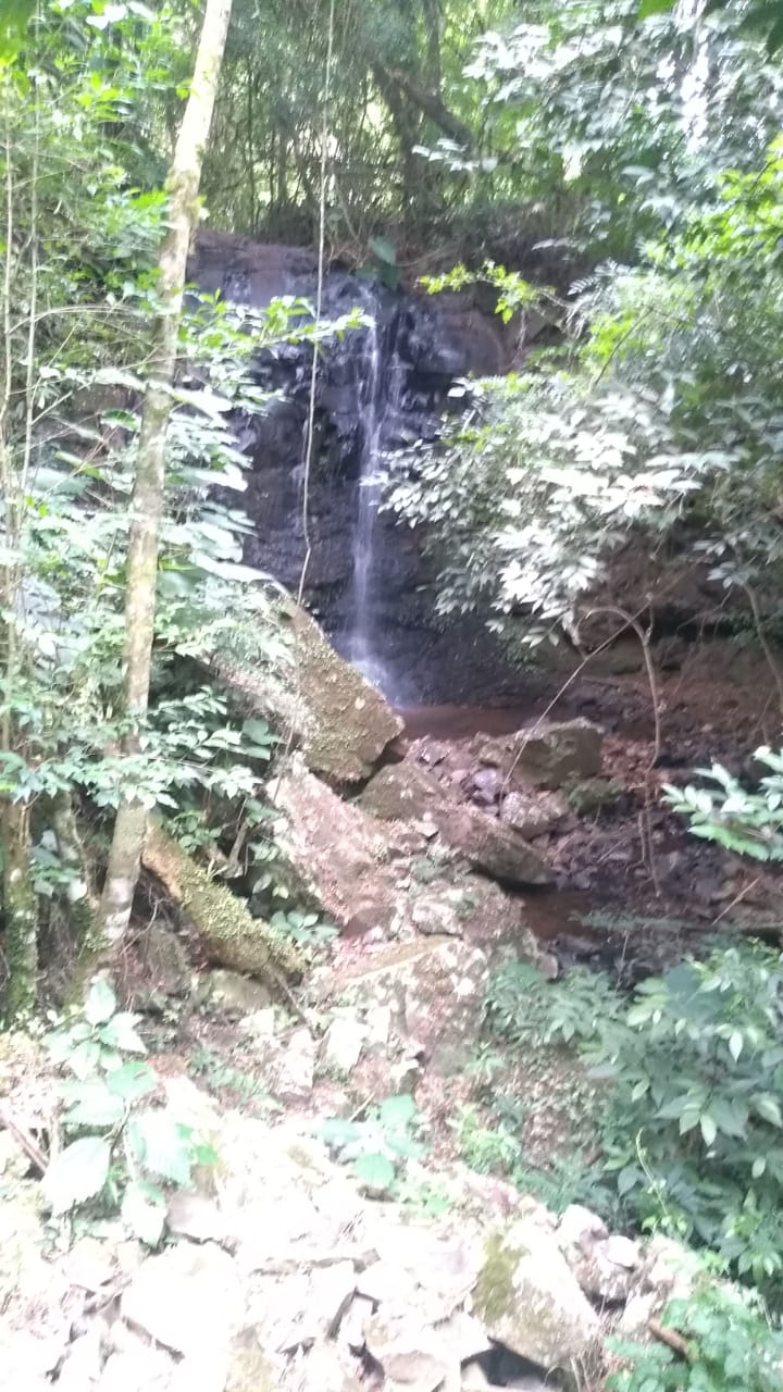 B-743     SÍTIO EM SÃO FRANCISCO DE PAULA