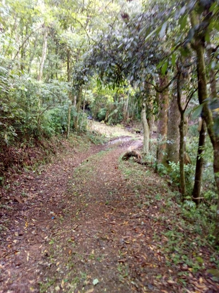 B-743     SÍTIO EM SÃO FRANCISCO DE PAULA
