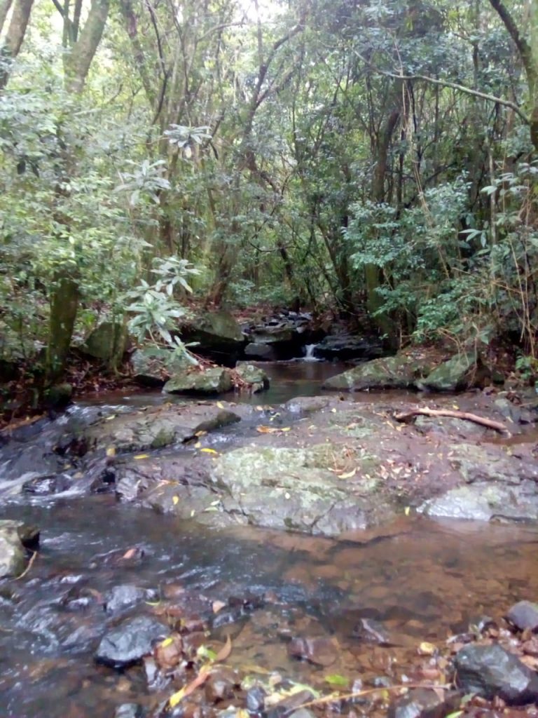 B-743     SÍTIO EM SÃO FRANCISCO DE PAULA