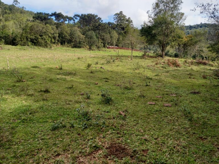 B-810     ÁREA DE TERRAS EM IGREJINHA