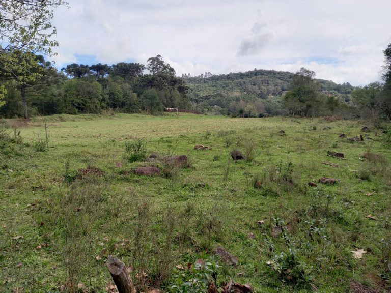 B-810     ÁREA DE TERRAS EM IGREJINHA