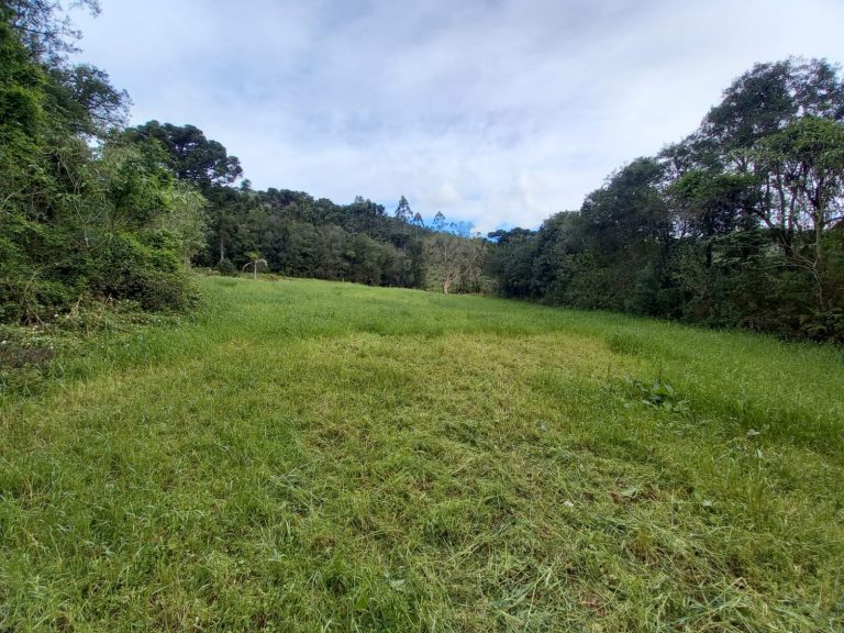 B-810     ÁREA DE TERRAS EM IGREJINHA